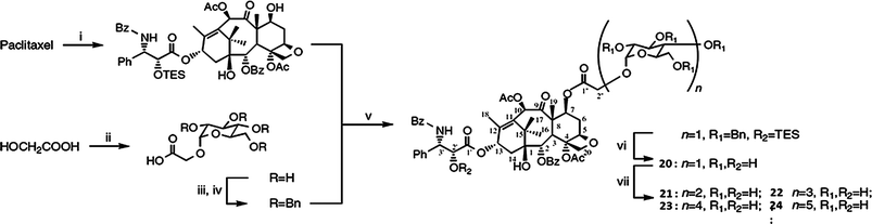 A synthesis scheme for paclitaxel-sugar conjugates: (i) TESCl, imidazole, DMAP; (ii) a-glucosidase, maltose, DMSO–H2O (1 : 4, v/v); (iii) BnBr, NaH, DMF; (iv) KOH; (v) EDCI, DMAP, CH2Cl2; (vi) H2, Pd black, HOAc–H2O (9 : 1, v/v); (vii) CGTase, starch, Na–Pi buffer (25 mM)147 (reprinted with permission from K. Shimoda, H. Hamada and H. Hamada, Tetrahedron Lett., 2008, 49, 601, Copyright (2007) Elsevier Ltd).