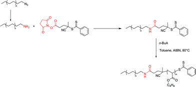The synthesis of a macroRAFT based on PE using PE-NH2 and an activated ester containing RAFT agent. Application to the synthesis of a block copolymer with n-BuA.