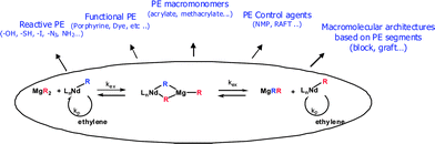 A general overview of the potential of polyethylene CCG on magnesium.