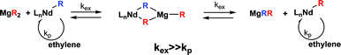 The catalyzed chain growth (CCG) concept. Nd Catalyst used in conjunction with di-alkylmagnesium organometallic species as CTA.