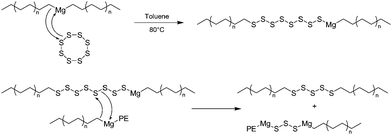 The proposed mechanism of PE-Sk-PE species formation after addition of elemental sulfur into the polymerization medium.