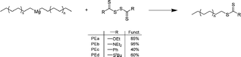 Functionalization of polyethylene with thiocarbonyl thio compounds by reacting thiocarbonyl thio disulfide with Mg(PE)2 species.