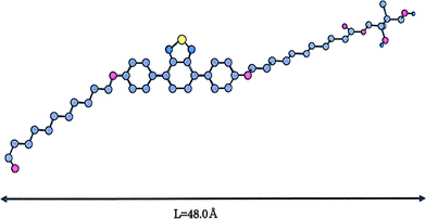 A possible molecular model and the length of the repeating unit of HB polymers 4.