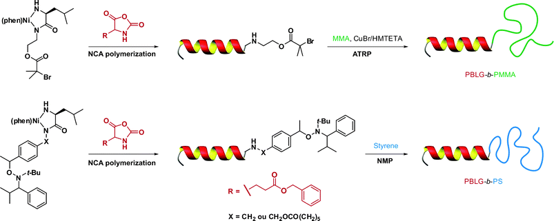 Synthesis of bioconjugates by NCA polymerization and subsequent ATRP or NMP.191,192