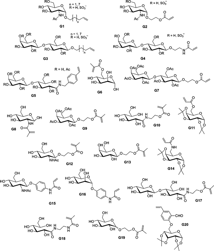 The structures of glycomonomers polymerized by CLRP techniques for bioconjugation purposes.