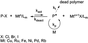 The activation–deactivation equilibrium in atom transfer radical polymerization (ATRP).