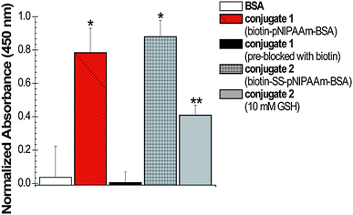 ELISA of BSA–pNIPAAm conjugates. Each sample was incubated with 1 mg mL−1 of OPD substrate; after 30 min the absorbance at 450 nm was measured to determine the relative amount of oxidized substrate. From left to right: BSA, conjugate 1, conjugate 1 (pre-blocked with biotin), conjugate 2, conjugate 2 with addition of 10 mM GSH. Error bars indicate standard deviation from a minimum of 6 measurements. * denotes statistical deviation from the BSA control (p < 0.05). ** denotes statistical deviation from the BSA control and conjugate 2 (p < 0.05).