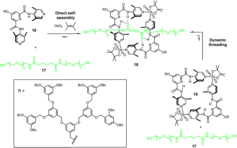 Formation of dynamic [2]rotaxane dendrimer 18 by direct seven-component self-assembly or dynamic threading.