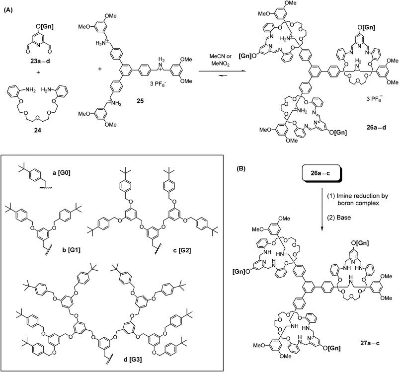 Formation of (A) imine-containing [4]rotaxane dynamic dendrimers 26a–dvia seven component self-assembly and (B) kinetically stable [4]rotaxane dendrimers 27a–c.