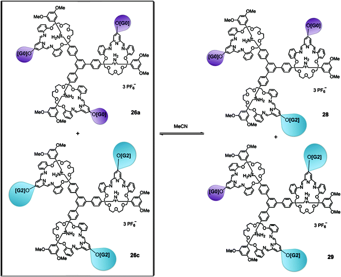 Two preformed [4]rotaxane dendrimers 26a(G0/G0/G0) and 26c(G2/G2/G2) undergo dendron exchange via reversible imine bonds to convert into two new [4]rotaxane dendrimers 28(G0/G0/G2) and 29(G0/G2/G2) in one pot.