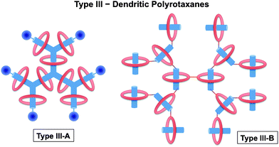 Classification of rotaxane dendrimers: Type III rotaxane dendrimers incorporate rotaxane-like features at the branches. Type III rotaxane dendrimers have been sub-categorized into two different types: Type III-A: dendritic polyrotaxanes incorporating ring components on the branches; and Type III–B: dendritic polyrotaxanes incorporating ring components at the branching points.