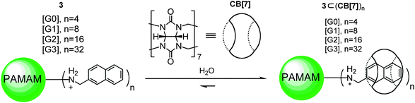 Pseudorotaxane dendrimers based on naphthalene peripherally functionalized PAMAM dendrimers and CB[7].