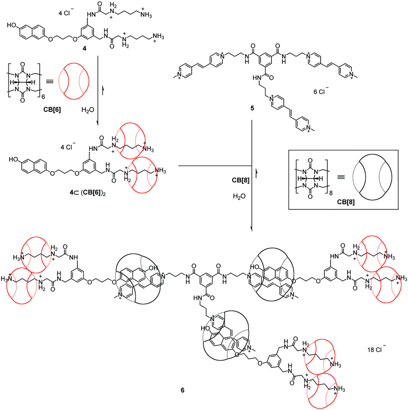 A [10]Pseudorotaxane dendrimer with CB-based pseudorotaxane units at every branch.