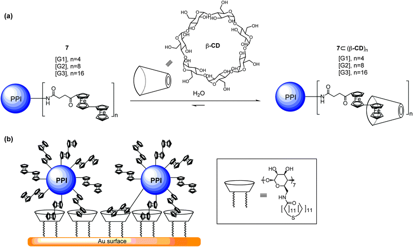 (a) Self-assembly of biferrocene-functionalized PPI dendrimers 7 with β-CDs. (b) Self-assembled monolayer formation between a CD-modified gold surface and the biferrocene-functionalized PPI dendrimer 7.