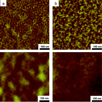 AFM tapping mode topography (lower) and phase (upper) images of thin films of PPOgPDEVP8 (a) and -9 (b).