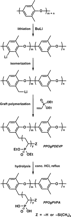 Grafting PDEVP from PPO by anionic polymerization followed by acidic hydrolysis of the grafts to PVPA.