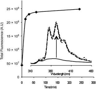 Fluorescence increase with time and the appearance of the phenanthrene fluorescence (inset).