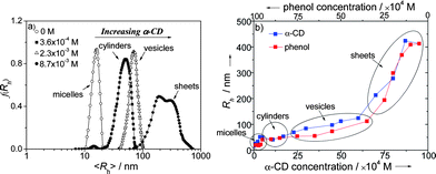 (a) The dynamic shift of the hydrodynamic radius distribution, f(Rh), obtained for binary assembly system of polymer-α-CD through successively adding α-CD to the polymer solution, (○) without α-CD inducing micelles, (■) 3.6 × 10−4 M α-CDs inducing cylinders, (△) 2.3 × 10−3 M α-CDs inducing vesicles, and (●) 8.7 × 10−3 M α-CDs inducing sheet superstructures; (b) the size-variation curves of the dynamic self-assembly process: reversible nanomorpholgoical deformation via the molar variation of host (α-CD) and guest (phenol) trigger.