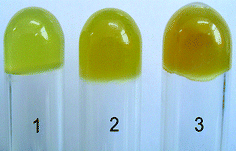 Photographs of the prepared hydrogels; 1, 2, and, 3 samples contain 5 wt%, 10 wt%, and 15 wt% poly(10.1-co-40.9), respectively.