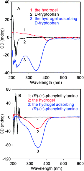 CD spectra of the hydrogels having absorbed (A) d-tryptophan (in H2O) and (B) (R)-(+)-phenylethylamine (in CHCl3).