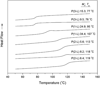 DSC curves of P(1-L), P(2-L) and P(3-L) homopolymers. Plotted curves are of the second heating cycle. Molecular weights are listed in kg mol−1.