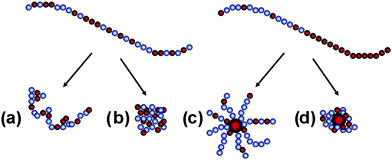 Possible conformations in aqueous solutions of hydrophobic polyelectrolytes (left) and block polyelectrolytes assembled to nanoparticles (right). (a) Extended coil, (b) compact globule, (c) extended nanoparticle and (d) compact nanoparticle.