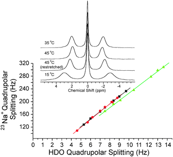 
            23Na+ quadrupolar splitting versus HDO quadrupolar splittings recorded at different temperatures for a variably stretched κ-carrageenan (3.0% ‘w/w’) gel prepared with 147 mmol L−1 NaCl (including 99 mmol L−11H-glycine). The slopes of the individual graphs corresponded to Na+AHDO. Black squares, 35 °C; red circles, 45 °C; green up-pointing triangles, 15 °C. The inset shows the 23Na NMR spectra obtained at the different temperatures using the same extension factor of 0.58.