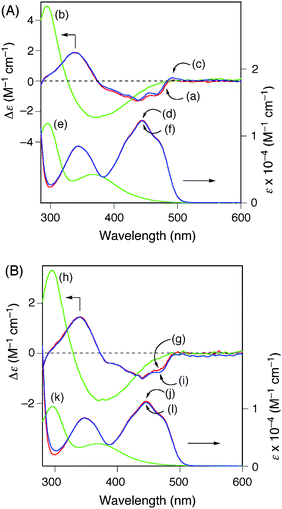 CD (a–c, g–i) and absorption (d–f, j–l) spectra of 3 (A) and 8 (B) (0.5 mg mL−1) in DMF–water (99/1, v/v) before (a, d, g, j) and after (b, e, h, k) reduction with Na2S2O4 (20 equiv.), and further oxidation with air (c, f, i, l) at ca. 25 °C.