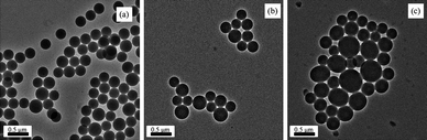 TEM images of (a) seed hairy particles having PS40-b-P(PEGMA1100)70 as surfactant, (b) particles after extension with PNaMA and (c) particles after extension with PDMAEMA.