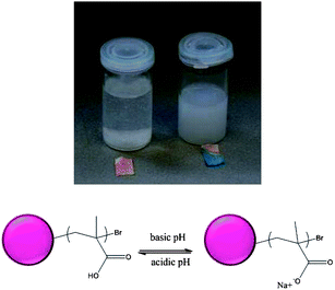 pH-responsive behaviour of the particles containing PNaMA chains at the surface. Vial depicted on the left corresponds to precipitated particles at acidic pH. Vial on the right contains stable particles at basic pH.
