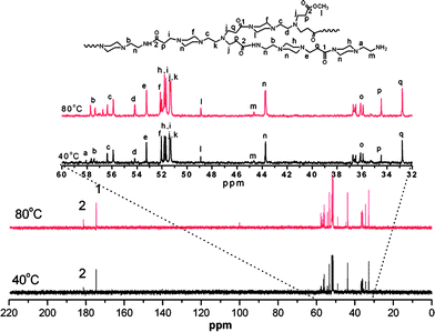 
          13C NMR spectra of polymers recorded in CDCl3 at 25 °C for the polymers obtained from the polymerization at 40 and 80 °C.