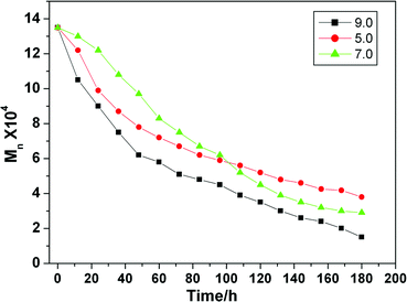 The molecular weight of degraded HPAMAM samples as a function of degradation time at different pH values.