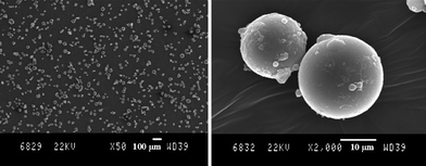 SEM characterization of PMMA particles (Mn,exp = 60000 g mol−1, PDI = 1.22, Table 2, entry 1) obtained by dispersion NMP in scCO2 at 70 °C and 300 bar in the presence of 10 wt% of PFDA-SG1 of Mn = 70000 g mol−1.