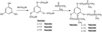 Synthesis of TMAOBn (n = 4, 5 and 6).