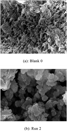 SEM pictures of PE prepared with Ind2ZrCl2 under homogeneous conditions (a) and prepared in the presence of PI-Φ2OH (b).
