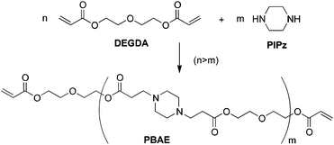 Synthesis of PBAE crosslinkers.