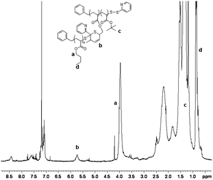 
            1H NMR spectra of the PtBA-g-PnBA 1 recorded in CDCl3.