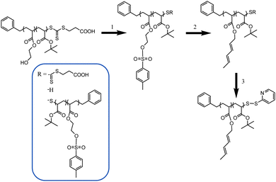 Post-functionalization of the PtBA-r-HEA backbone. (1) Tosylation step. (2) Diene introduction. (3) End chain modification.