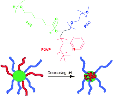 Depiction of the change in morphology in aqueous solution of an ABC-type miktoarm polymer (above), where the P2VP arm (red) shifts from the core to the corona with decreasing pH in aqueous media.