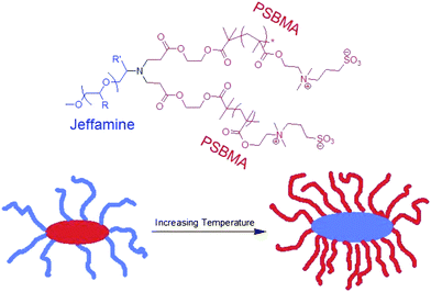Schizophrenic micelle where the core and corona are inverted upon an increase in temperature in aqueous solution. The color of the polymers in the molecular structure (above) corresponds to the location of the polymer within the micelle (below); R = H or CH3.