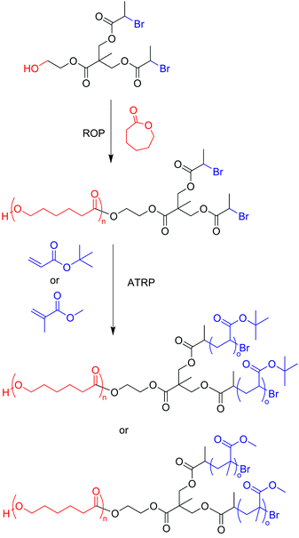 An AB2 miktoarm star polymer made with the “core-first” method by sequential ROP and ATRP.