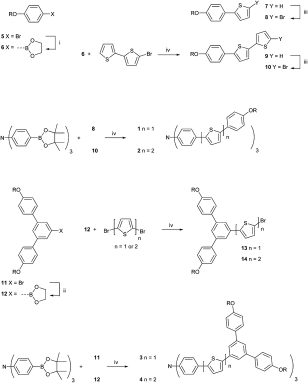 Reagents and conditions: (i) Mg turnings, THF, reflux, 1 h; then B(OMe)3, 0 °C to rt 12 h; then 3 M HCl(aq), rt, 2 h; then ethylene glycol, toluene, reflux Dean–Stark conditions, 12 h; (ii) n-butyllithium, THF, −78 °C, Ar(g); then B(OMe)3, −78 °C to rt 12 h; and then 3 M HCl(aq), rt, 2 h; then ethylene glycol, toluene, reflux Dean–Stark conditions, 8 h; (iii) N-bromosuccinimide, THF, 0 °C, 20 min; (iv) Pd(PPh3)4, 2 M Na2CO3(aq), EtOH, toluene, reflux, Ar(g), 24 h.