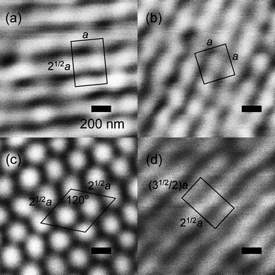 Confocal laser scanning images of the polymer stabilized liquid crystalline Blue Phase I, which exhibits a body centered cubic structure of defects. (a) {110} plane, (b) {100} plane, (c) {111} plane, and (d) {211} plane. The images verify the structure of the BPI phase. (Reproduced by permission from ref. 49.)