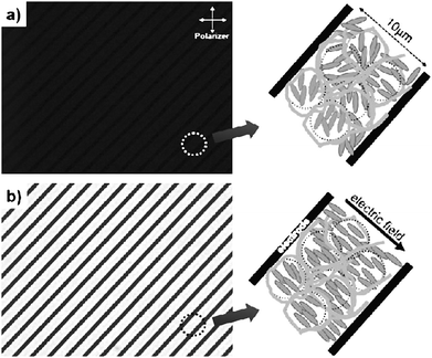 Optical textures of (a) a polymer stabilized isotropic phase, and (b) the oriented state due to the Kerr effect. The left hand part of the figures shows the experimental realization, employing an interdigitated electrode structure, while the right hand side provides a schematic illustration of the effect. (Reproduced by permission from ref. 62.)