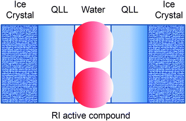 QLL = Quasi-liquid layer.