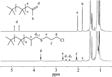 
          1H NMR spectra of exo-olefin PIB (top) and PIB–Cl (bottom).