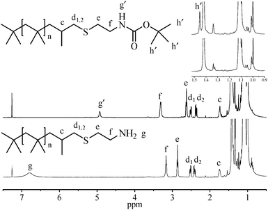 
          1H NMR spectra of PIB–Boc (top) and PIB–NH2 (bottom).