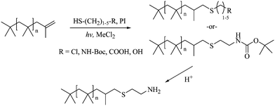 Photo-initiated radical addition of functional thiols (halo, NH–Boc, carboxylic acid, hydroxyl) to exo-olefin-terminated PIB and subsequent Boc deprotection. PI = dimethoxy-2-phenylacetophenone.