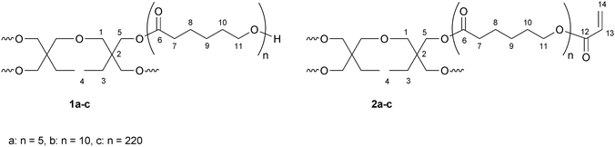 Structure of sPCL 1a–c and sPCL-A 2a–c, with numbers of NMR assignment.