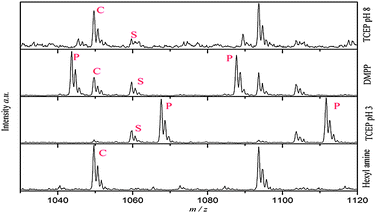 ESI-MS of oligo(PEGMEMA475) synthesized by CCTP used to identify the side reaction of phosphine catalyst. S = starting material, P = phosphine conjugated species, C = desired thiol–oligomer conjugate. Spectra were obtained with ESI-MS LCQ-Deca quadrupole. The list of corresponding compounds is given in the ESI.